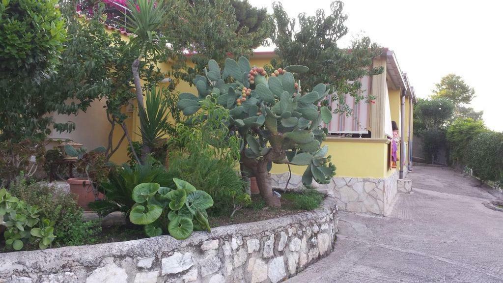Villa Natura Sea View Vieste Eksteriør billede